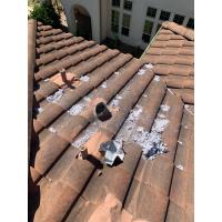 Excess lint spilling out of a dryer vent on top of a client's home. 